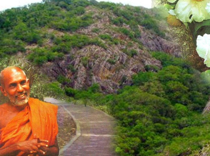 ජාතික නාමල් උයන 35වන සංවත්සර සැමරුම මාර්තු 27 දා ජනපති ප්‍රධානත්වයෙන්